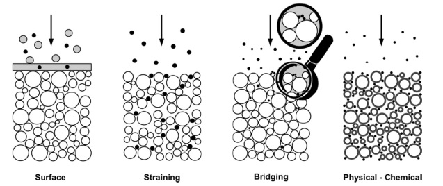 Fig. 2. Fig. 2.