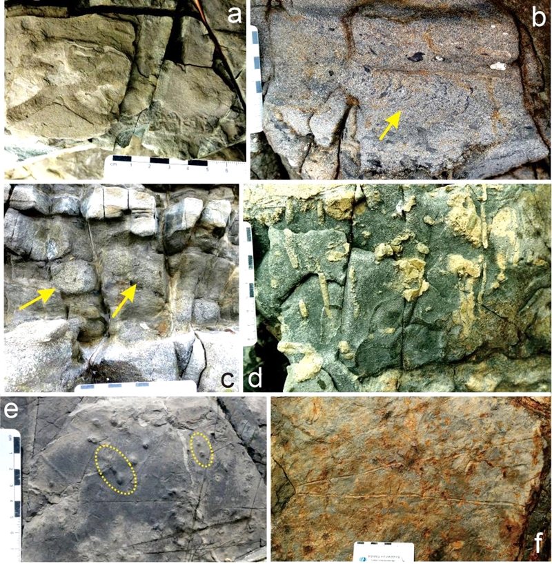 Fig. 6.