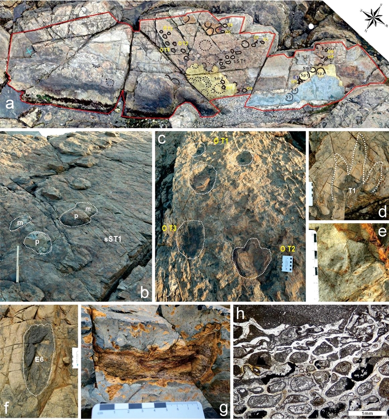 Fig. 7. Fig. 7.