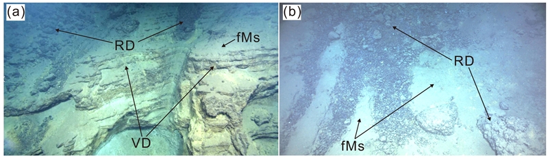 Fig. 3. Fig. 3.
