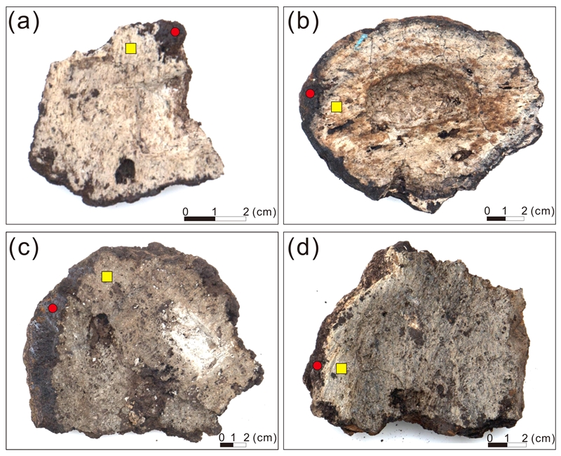 Fig. 4. Fig. 4.