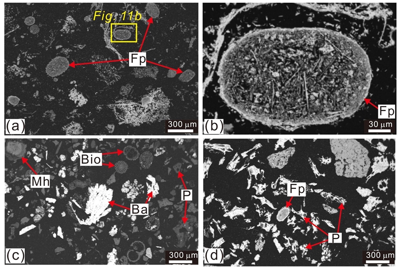 Fig. 11. Fig. 11.