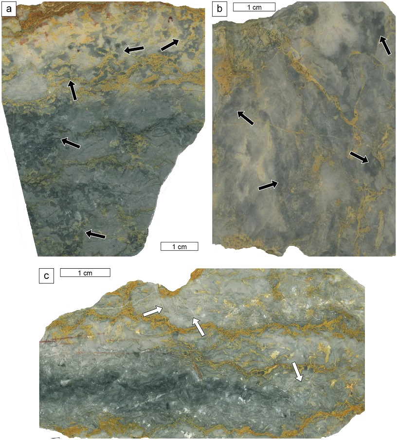 Fig. 4. Fig. 4.