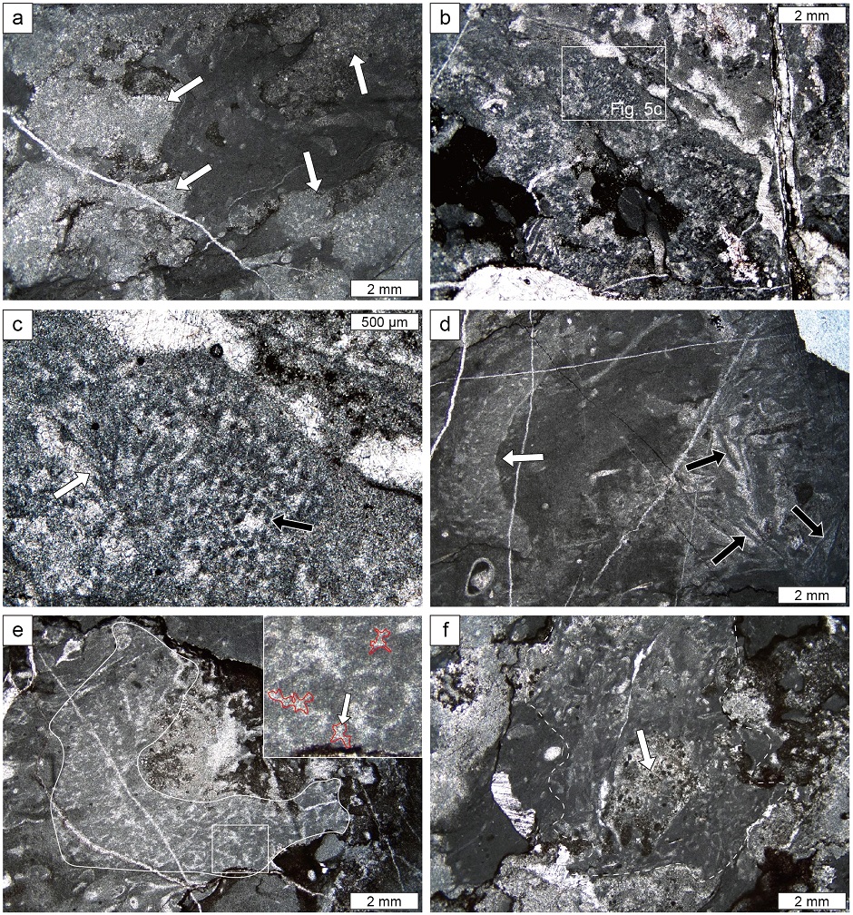 Fig. 5. Fig. 5.