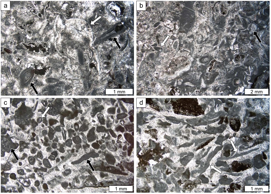 Fig. 7. Fig. 7.