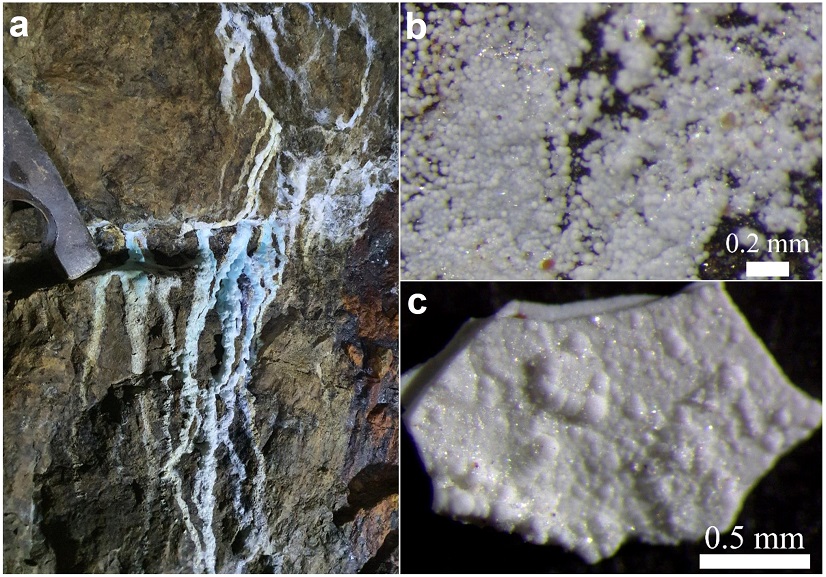 Fig. 1. Fig. 1.