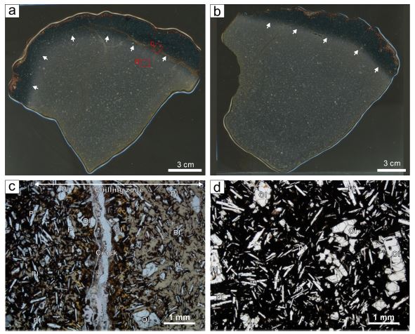 Fig. 4. Fig. 4.