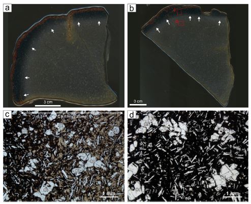 Fig. 7. Fig. 7.