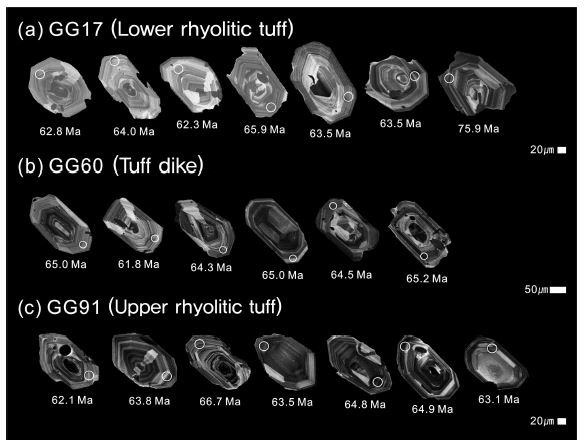 Fig. 3. Fig. 3.