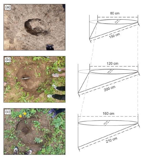 Fig. 5.
