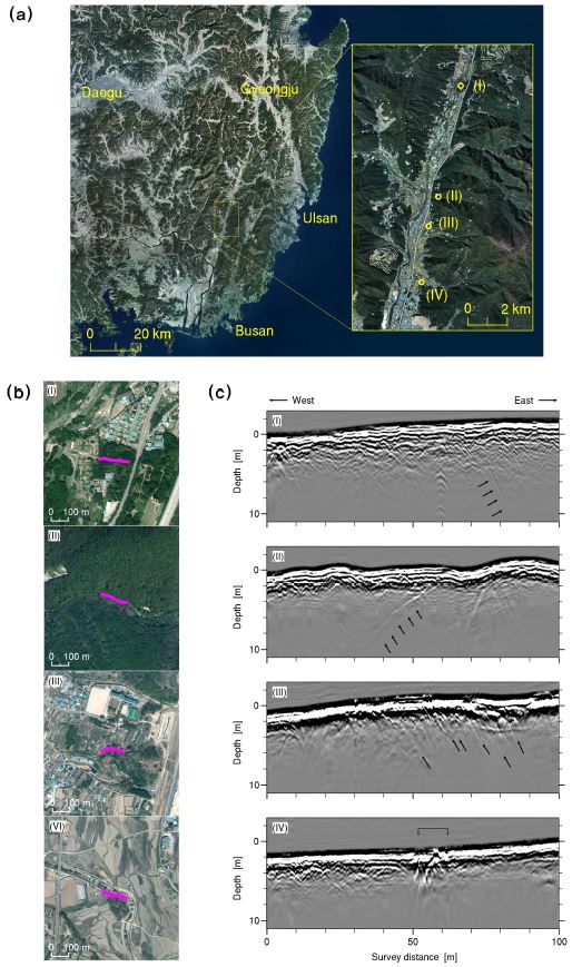 Fig. 2. Fig. 2.