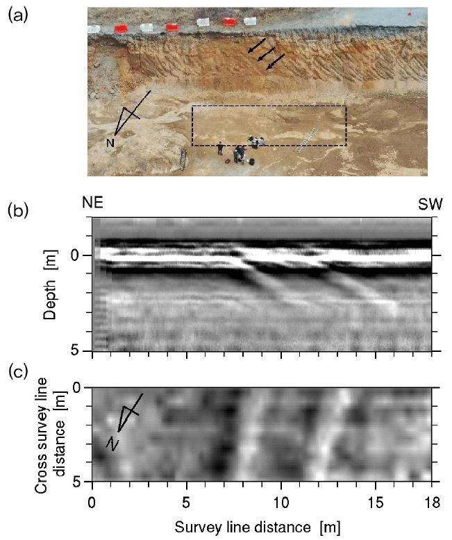 Fig. 3. Fig. 3.