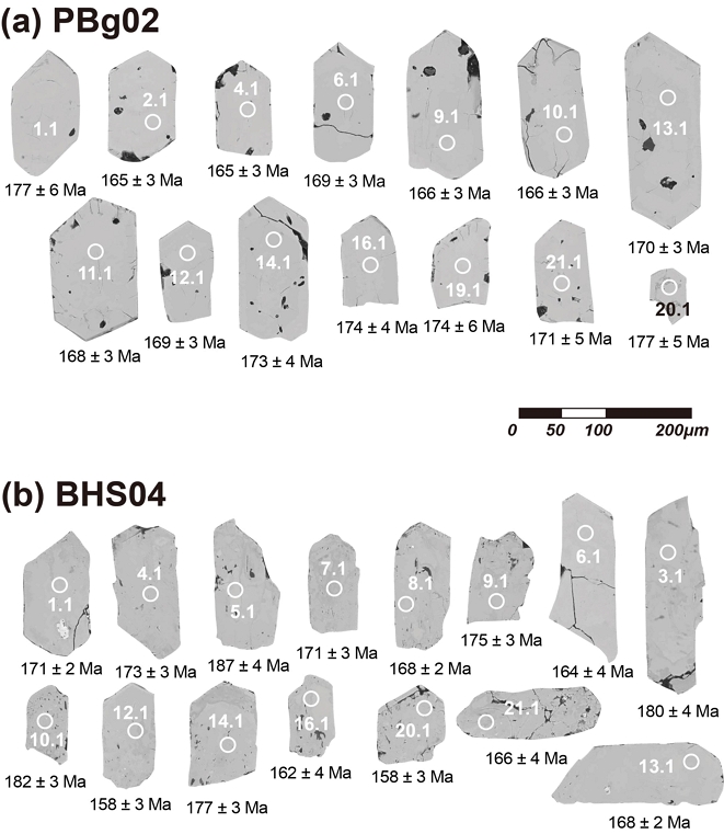Fig. 3. Fig. 3.