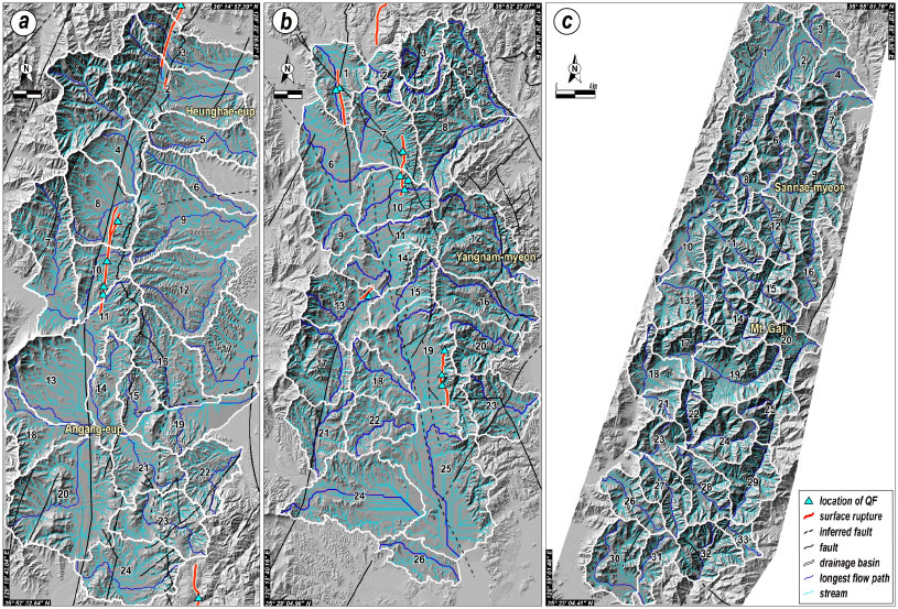 Fig. 3. Fig. 3.