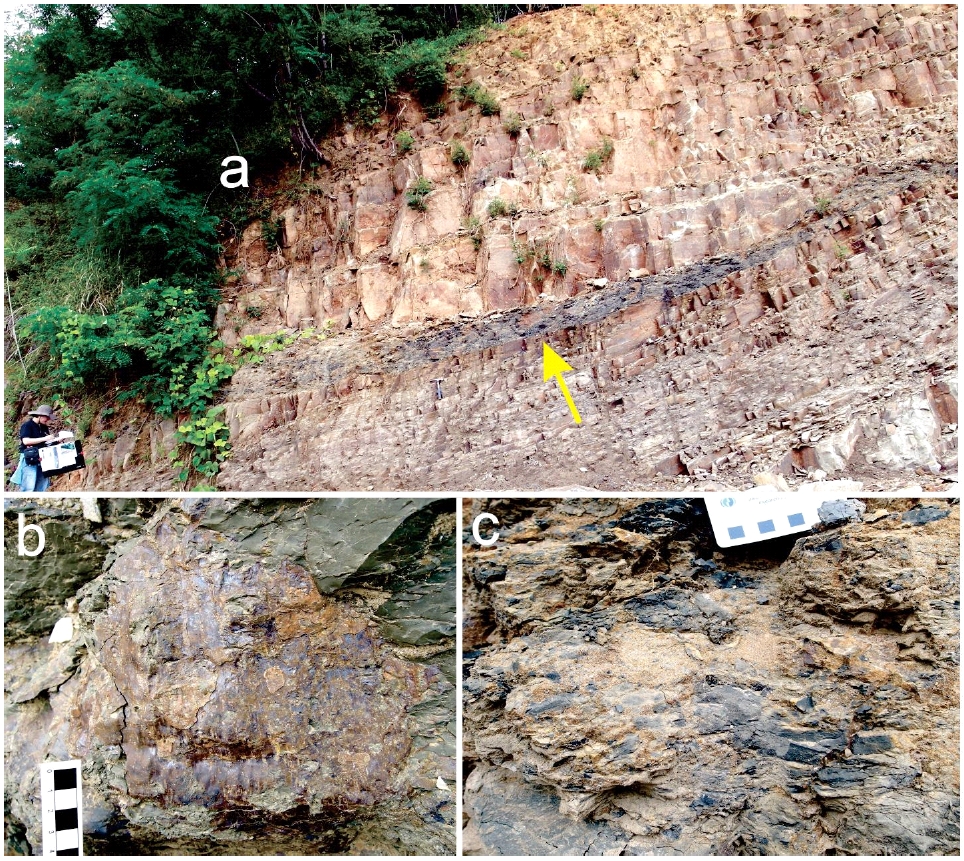 Fig. 2. Fig. 2.