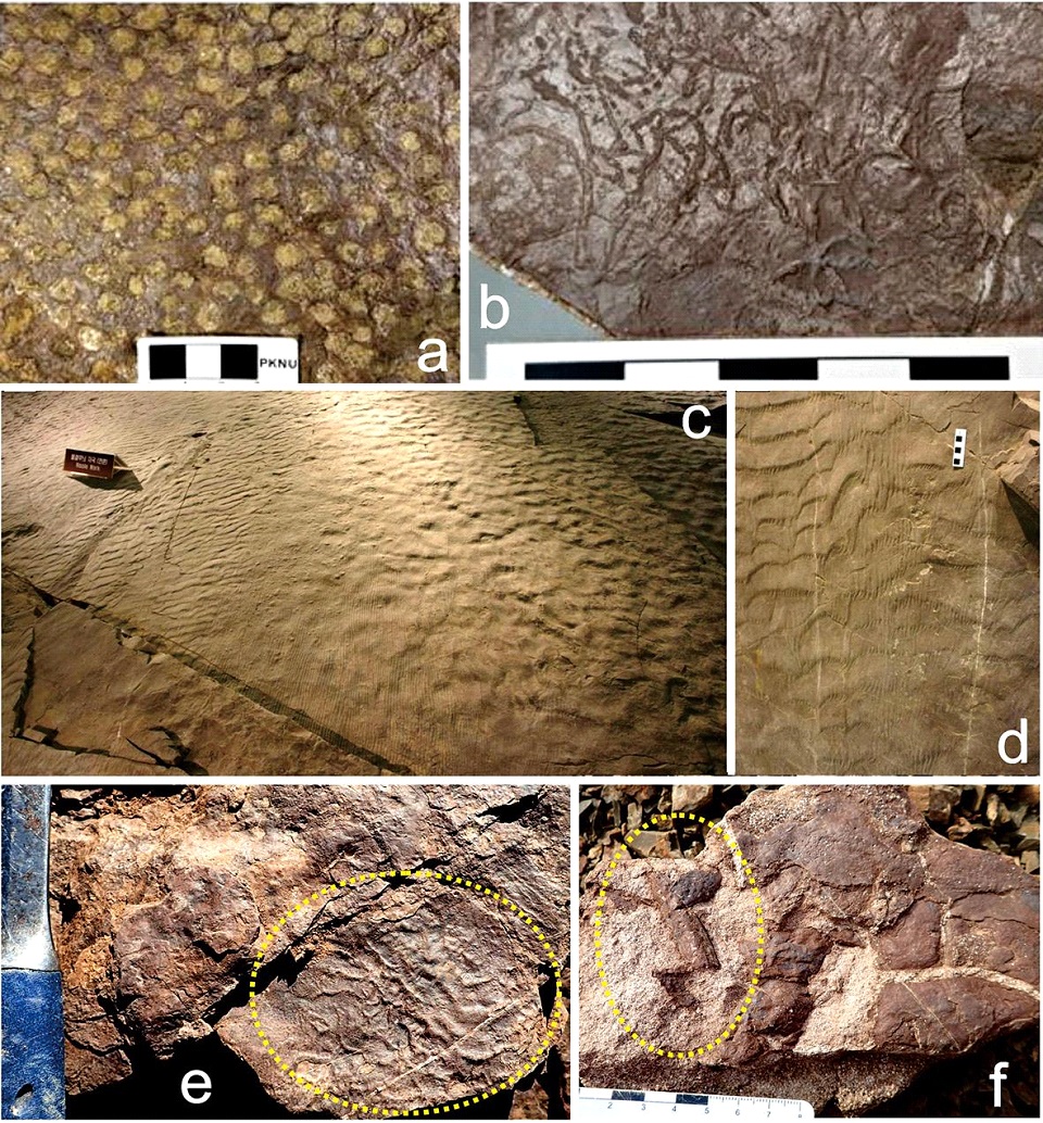 Fig. 5. Fig. 5.