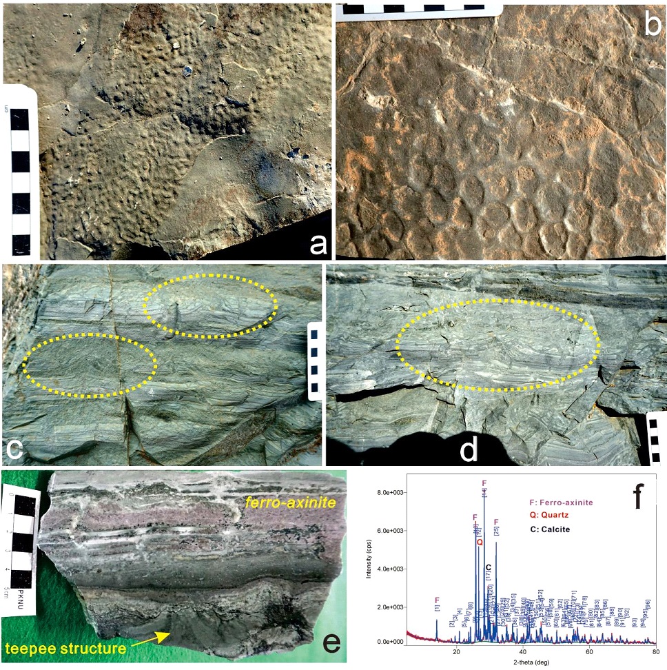 Fig. 7. Fig. 7.