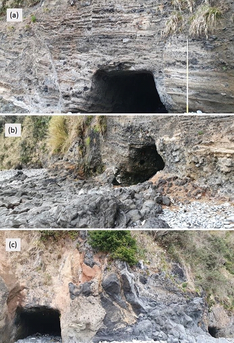 Fig. 7. Fig. 7.