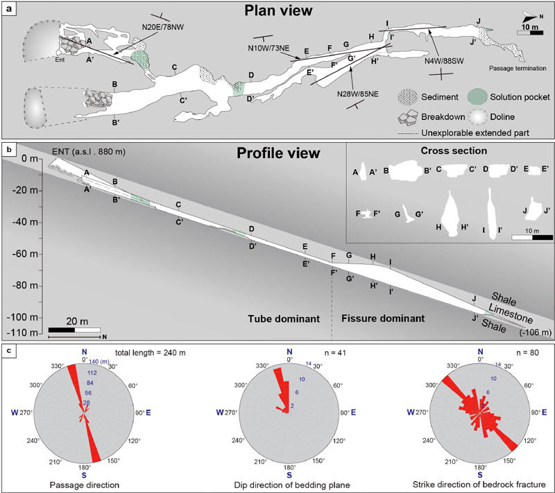 Fig. 2. Fig. 2.