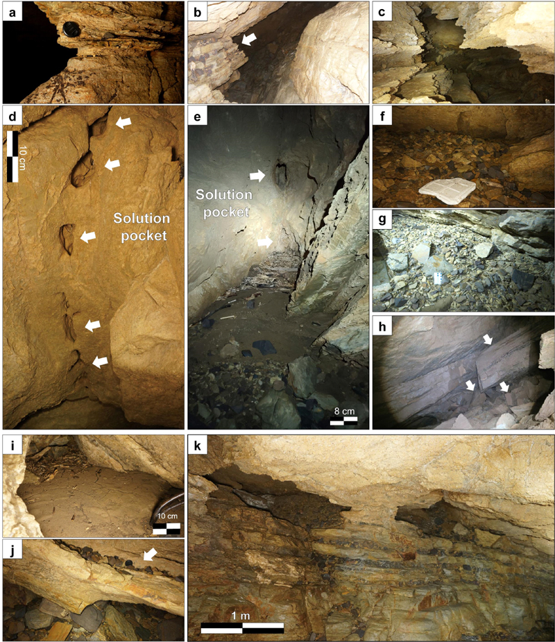 Fig. 4. Fig. 4.