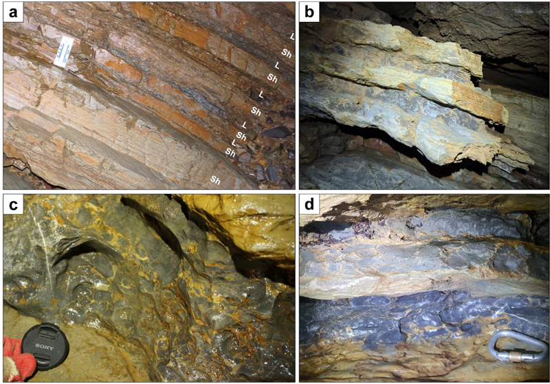 Fig. 6. Fig. 6.
