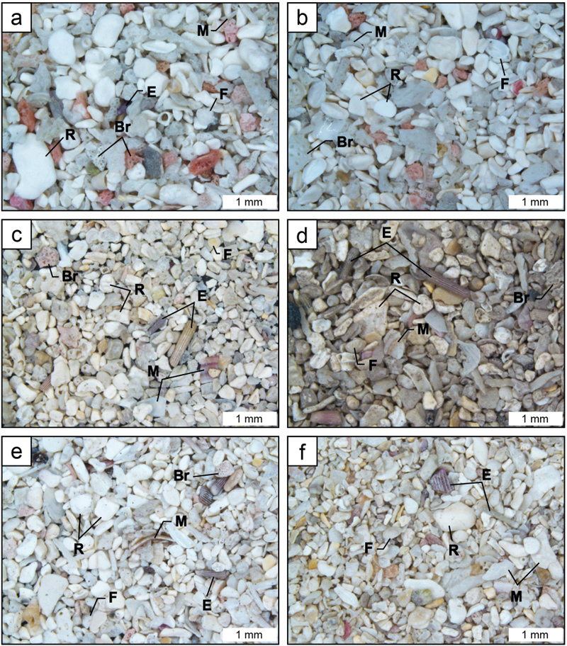 Fig. 6. Fig. 6.