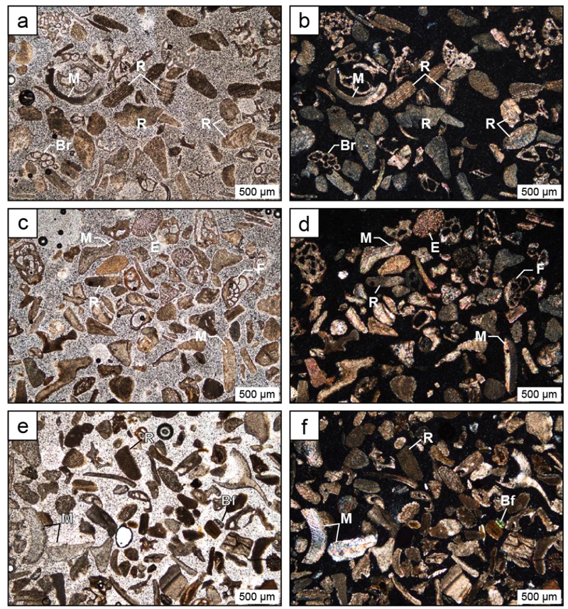 Fig. 7. Fig. 7.