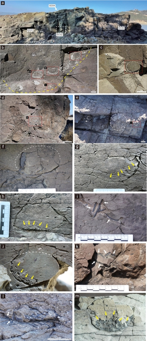 Fig. 2. Fig. 2.