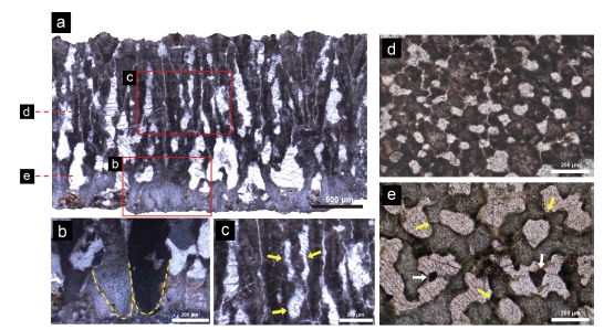 Fig. 3. Fig. 3.