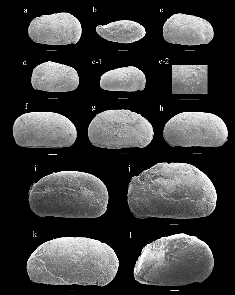 Fig. 5. Fig. 5.