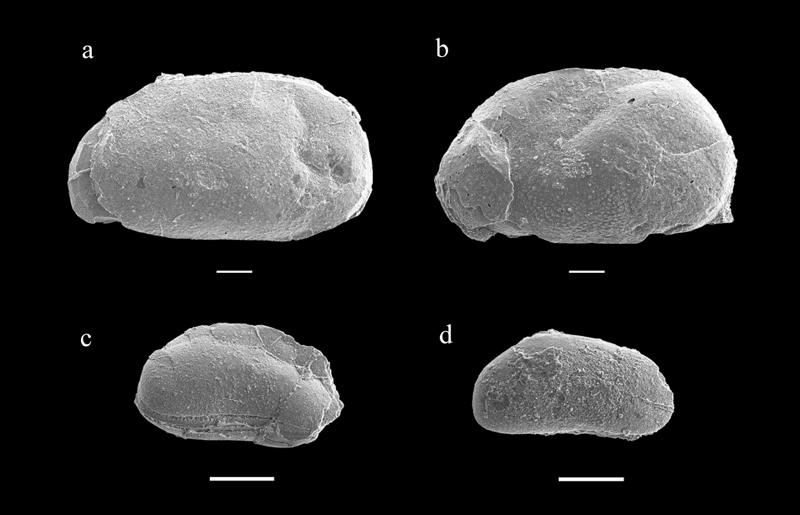 Fig. 6. Fig. 6.