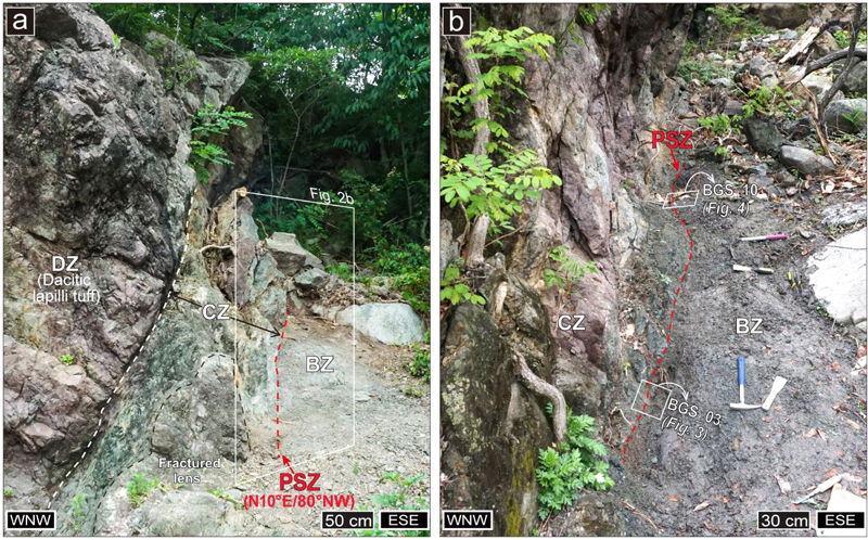 Fig. 2. Fig. 2.