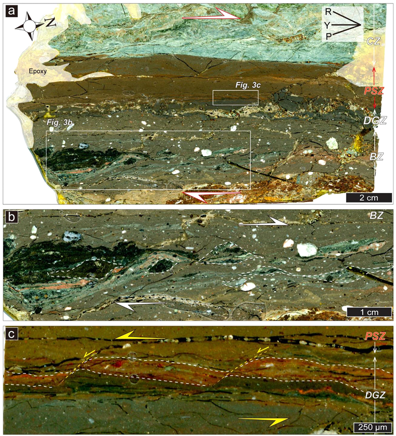 Fig. 3. Fig. 3.