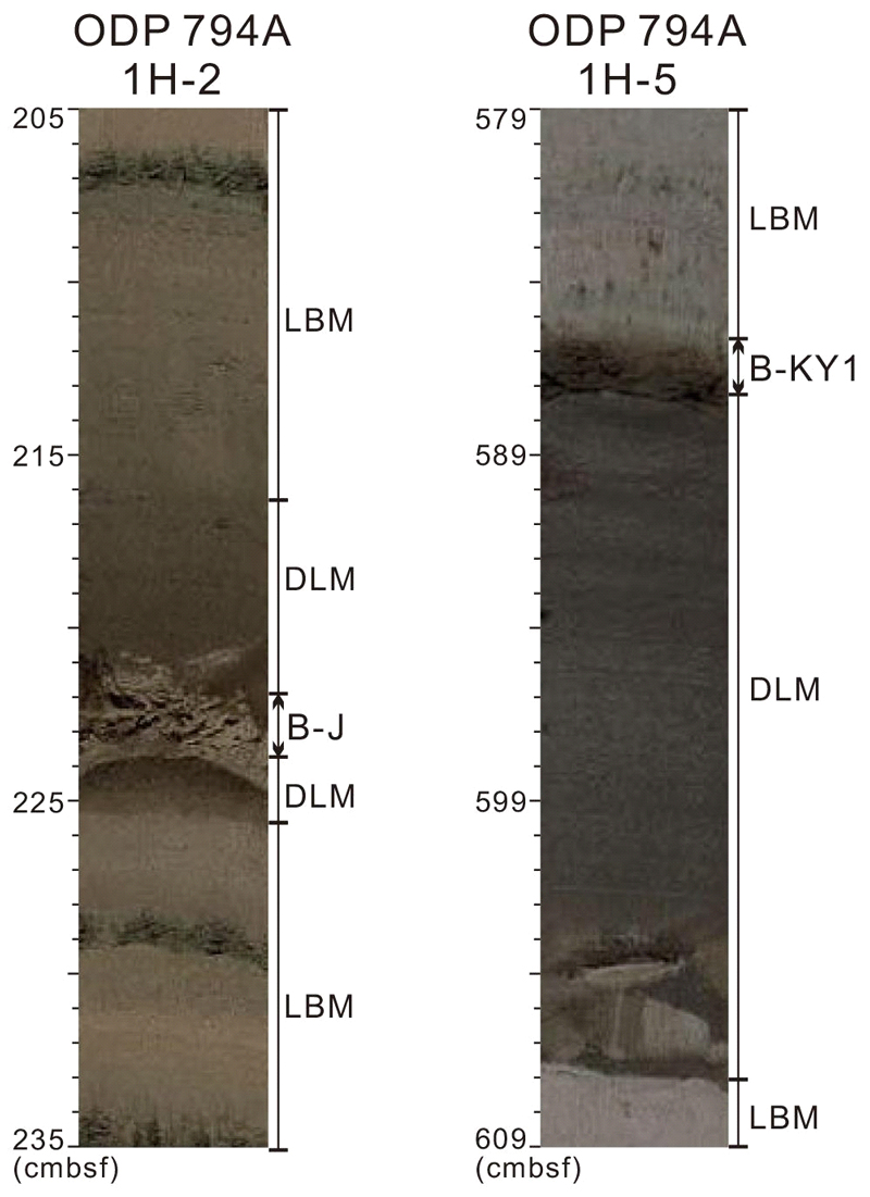 Fig. 2. Fig. 2.