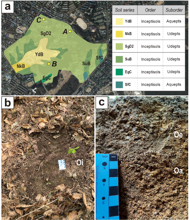 Fig. 2. Fig. 2.
