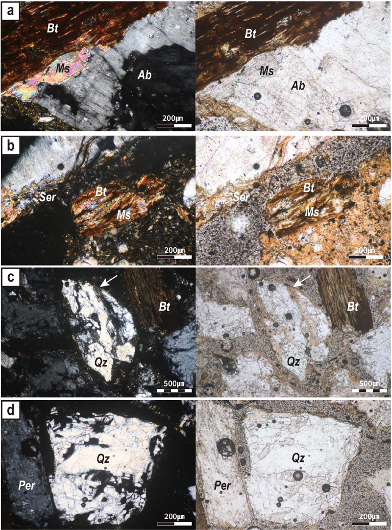 Fig. 3. Fig. 3.