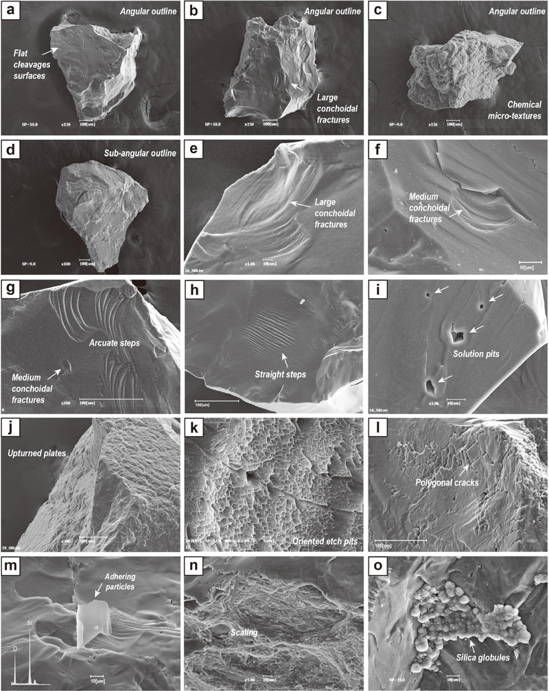 Fig. 5. Fig. 5.