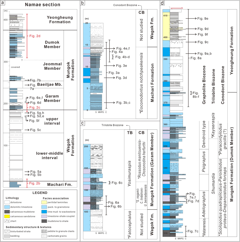 Fig. 2. Fig. 2.