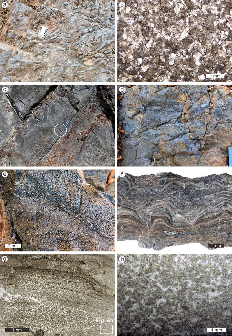 Fig. 5. Fig. 5.