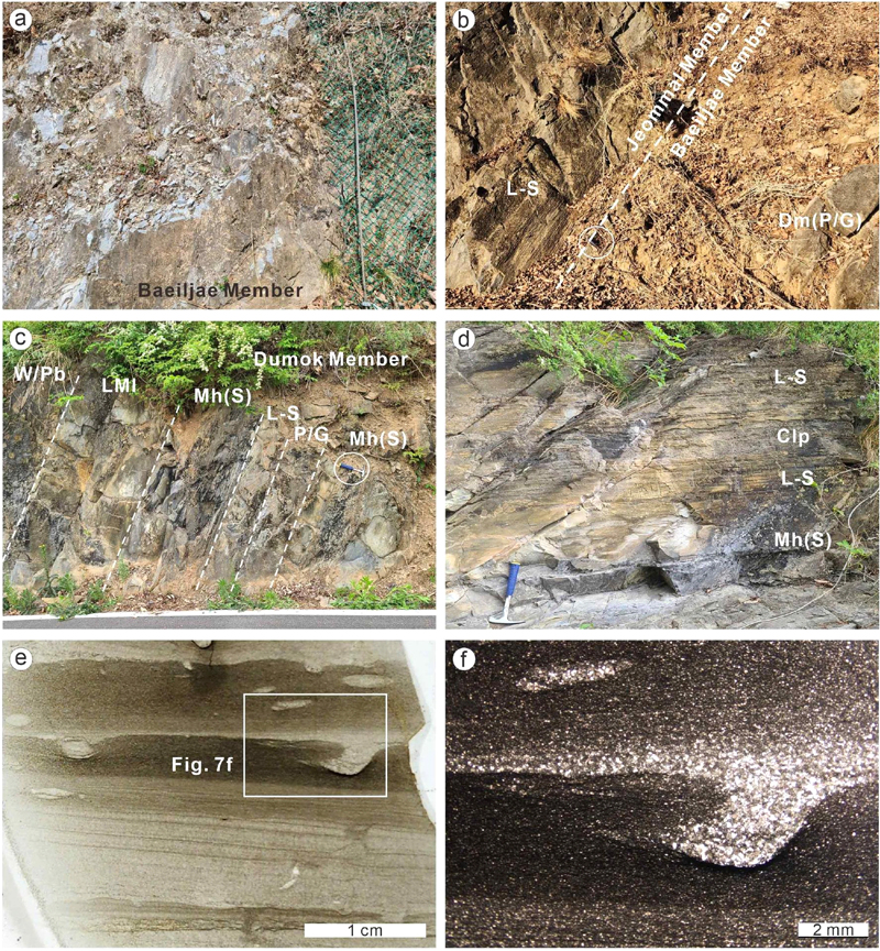 Fig. 7. Fig. 7.