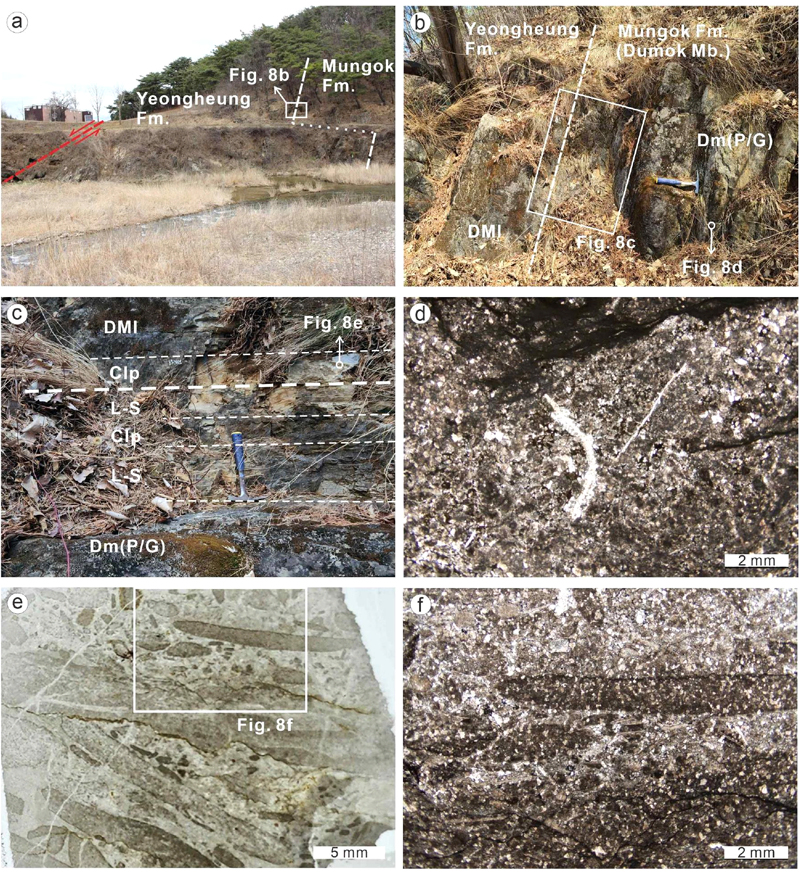 Fig. 8. Fig. 8.