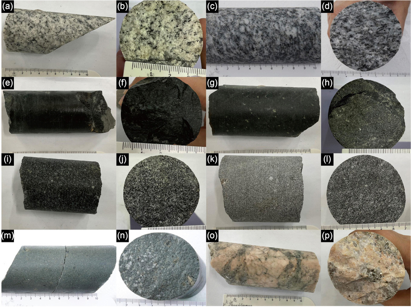Fig. 7. Fig. 7.
