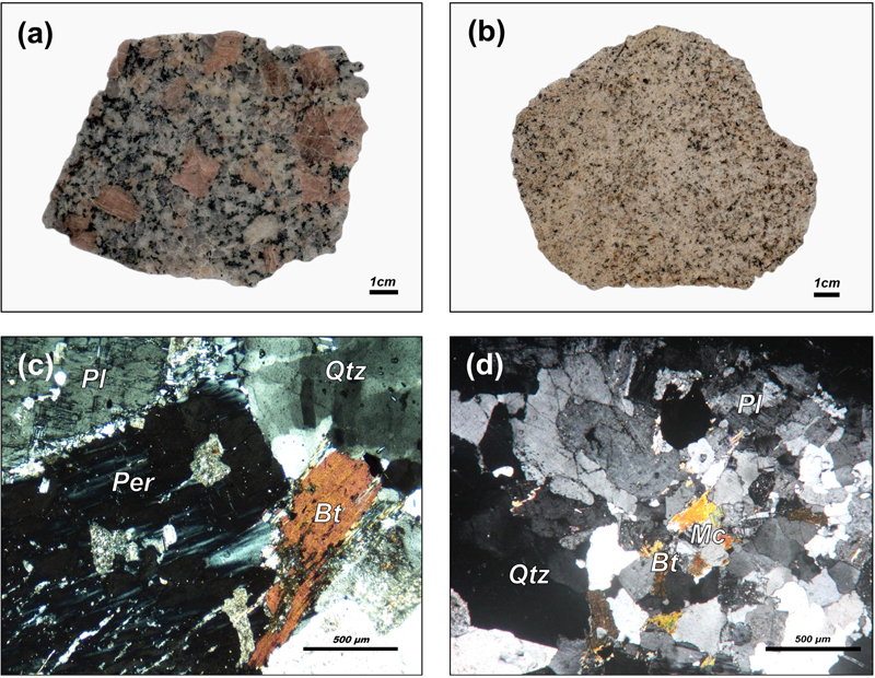 Fig. 2. Fig. 2.