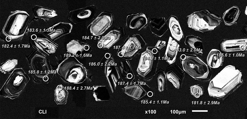 Fig. 3. Fig. 3.