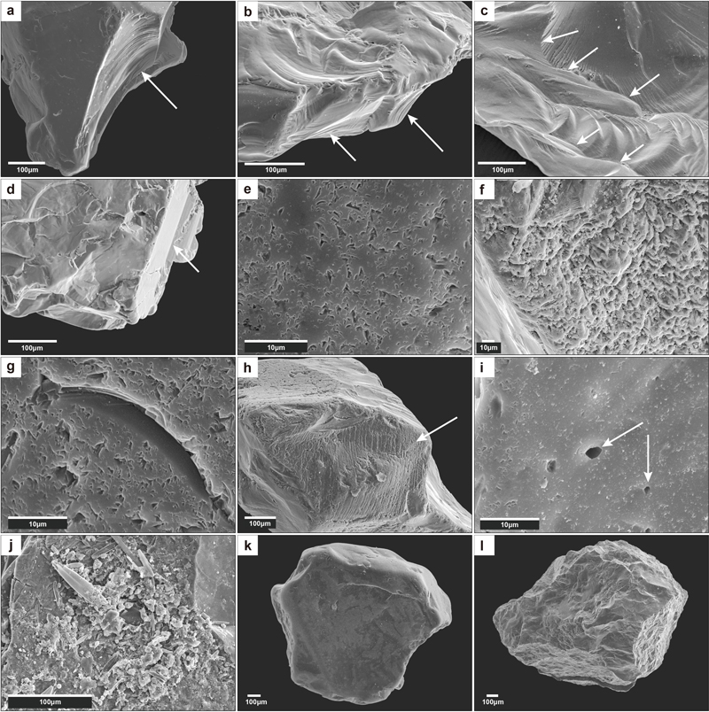 Fig. 5. Fig. 5.