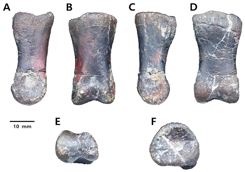 Fig. 4. Fig. 4.