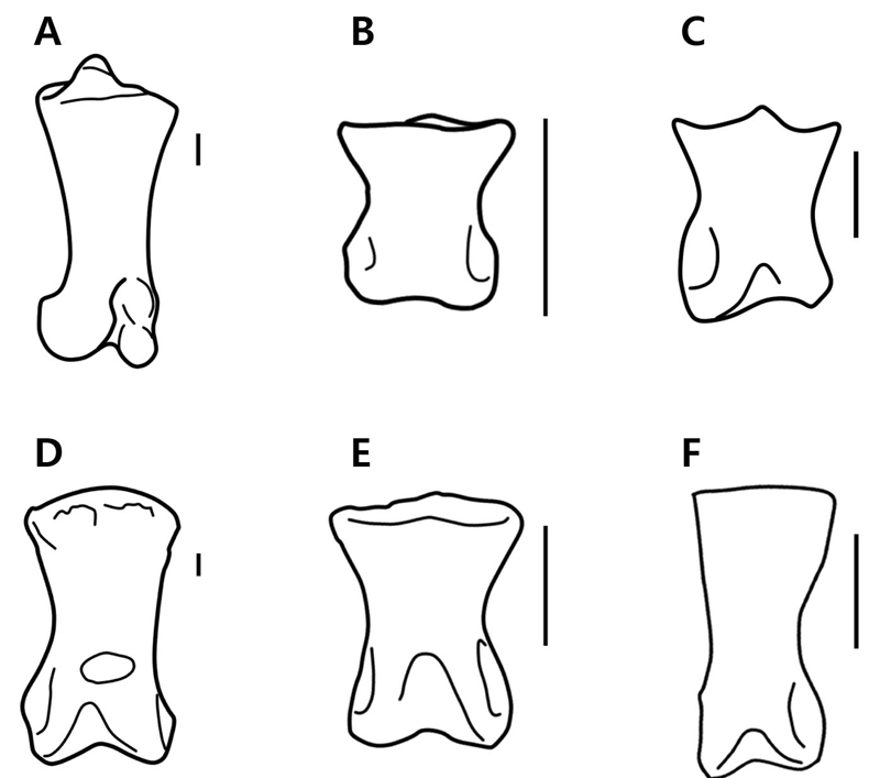 Fig. 6. Fig. 6.
