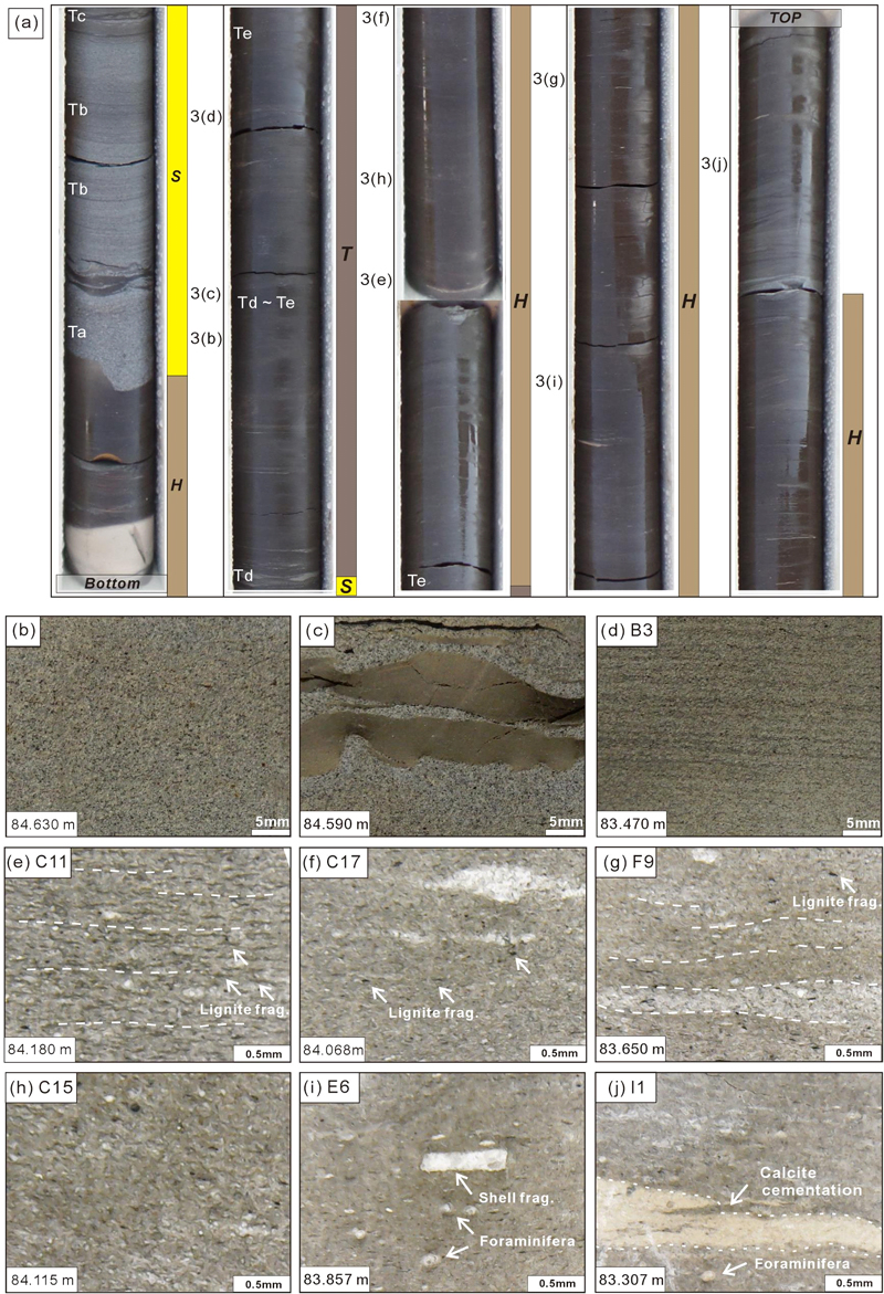 Fig. 3. Fig. 3.