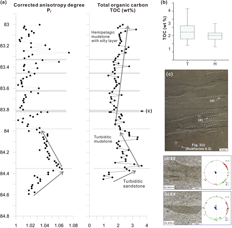 Fig. 6. Fig. 6.