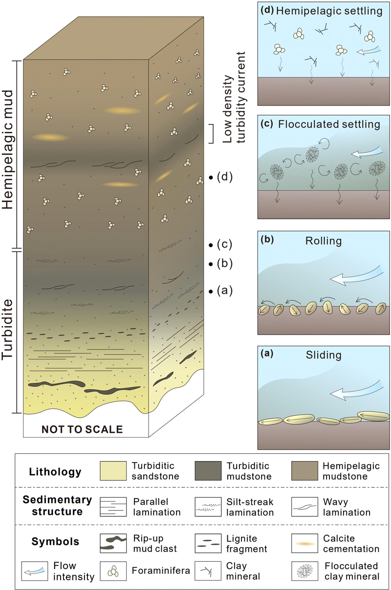Fig. 7. Fig. 7.